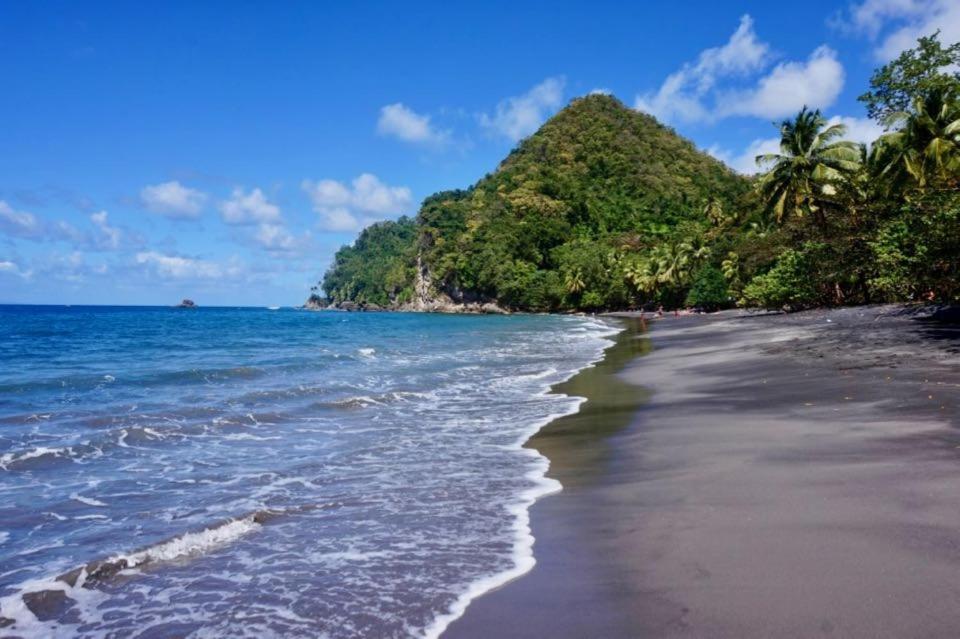 Lodge Colibris Piscine Privee Vue Panoramique Mer Et Montagne Pelee , 500 M Plage Dans Un Parc , Calme Assure Ideal Pour Decouvrir Le Nord Caraibes ル・カルベ エクステリア 写真