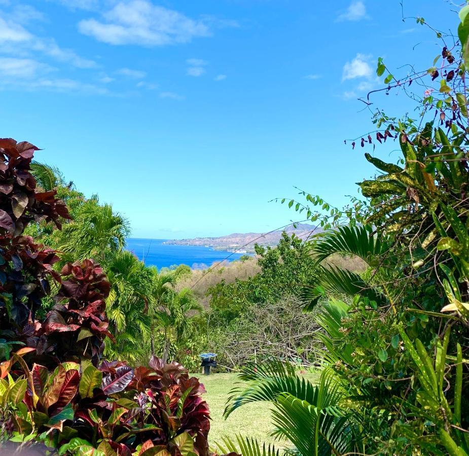 Lodge Colibris Piscine Privee Vue Panoramique Mer Et Montagne Pelee , 500 M Plage Dans Un Parc , Calme Assure Ideal Pour Decouvrir Le Nord Caraibes ル・カルベ エクステリア 写真