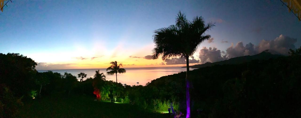 Lodge Colibris Piscine Privee Vue Panoramique Mer Et Montagne Pelee , 500 M Plage Dans Un Parc , Calme Assure Ideal Pour Decouvrir Le Nord Caraibes ル・カルベ エクステリア 写真