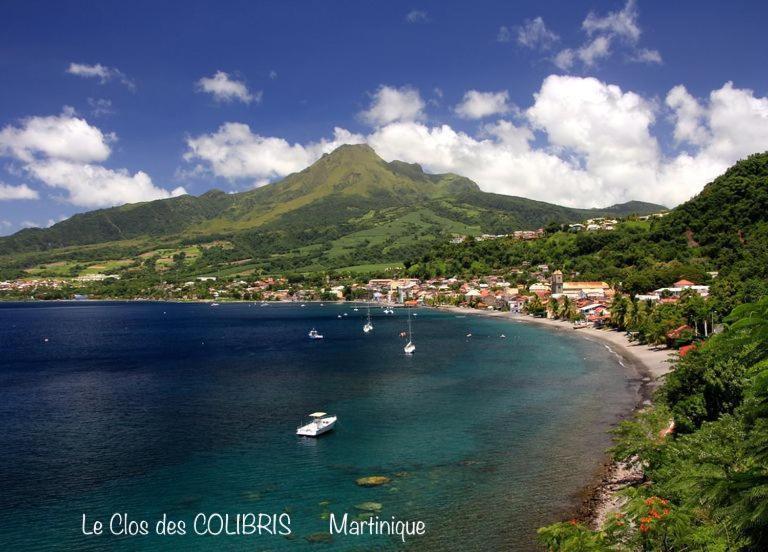 Lodge Colibris Piscine Privee Vue Panoramique Mer Et Montagne Pelee , 500 M Plage Dans Un Parc , Calme Assure Ideal Pour Decouvrir Le Nord Caraibes ル・カルベ エクステリア 写真