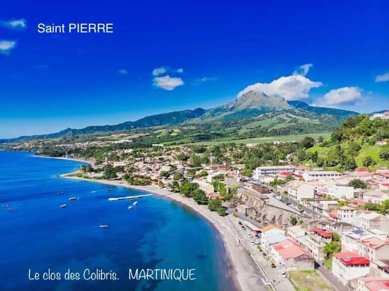 Lodge Colibris Piscine Privee Vue Panoramique Mer Et Montagne Pelee , 500 M Plage Dans Un Parc , Calme Assure Ideal Pour Decouvrir Le Nord Caraibes ル・カルベ エクステリア 写真