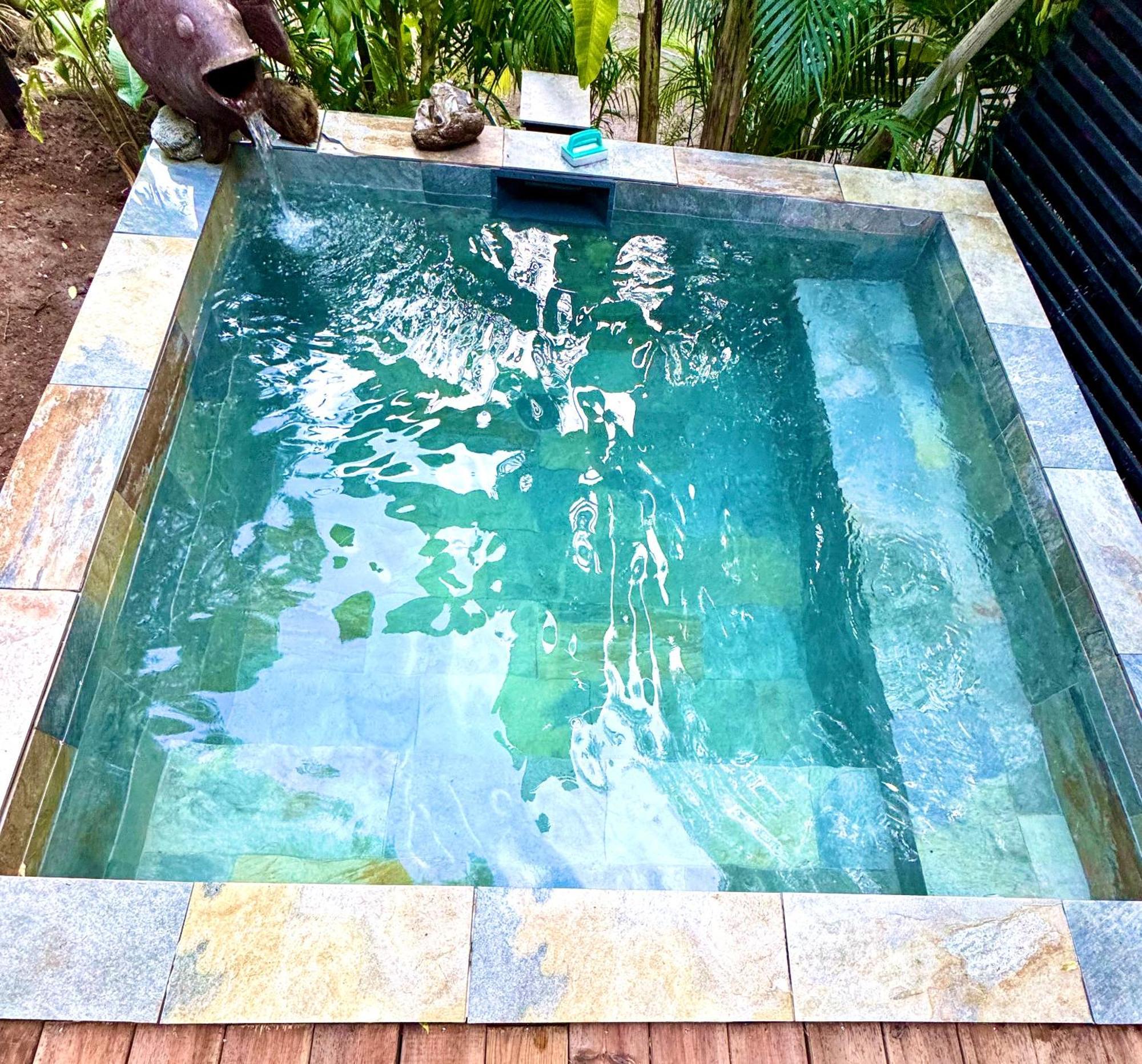 Lodge Colibris Piscine Privee Vue Panoramique Mer Et Montagne Pelee , 500 M Plage Dans Un Parc , Calme Assure Ideal Pour Decouvrir Le Nord Caraibes ル・カルベ エクステリア 写真