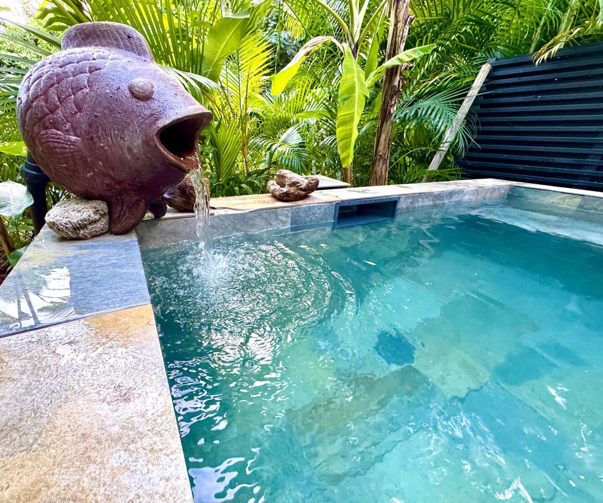 Lodge Colibris Piscine Privee Vue Panoramique Mer Et Montagne Pelee , 500 M Plage Dans Un Parc , Calme Assure Ideal Pour Decouvrir Le Nord Caraibes ル・カルベ エクステリア 写真