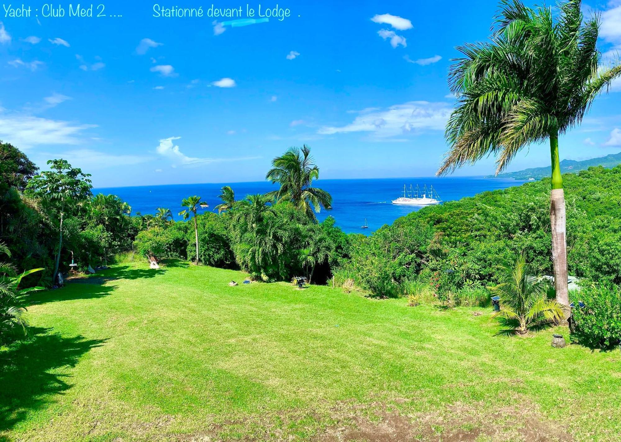 Lodge Colibris Piscine Privee Vue Panoramique Mer Et Montagne Pelee , 500 M Plage Dans Un Parc , Calme Assure Ideal Pour Decouvrir Le Nord Caraibes ル・カルベ エクステリア 写真