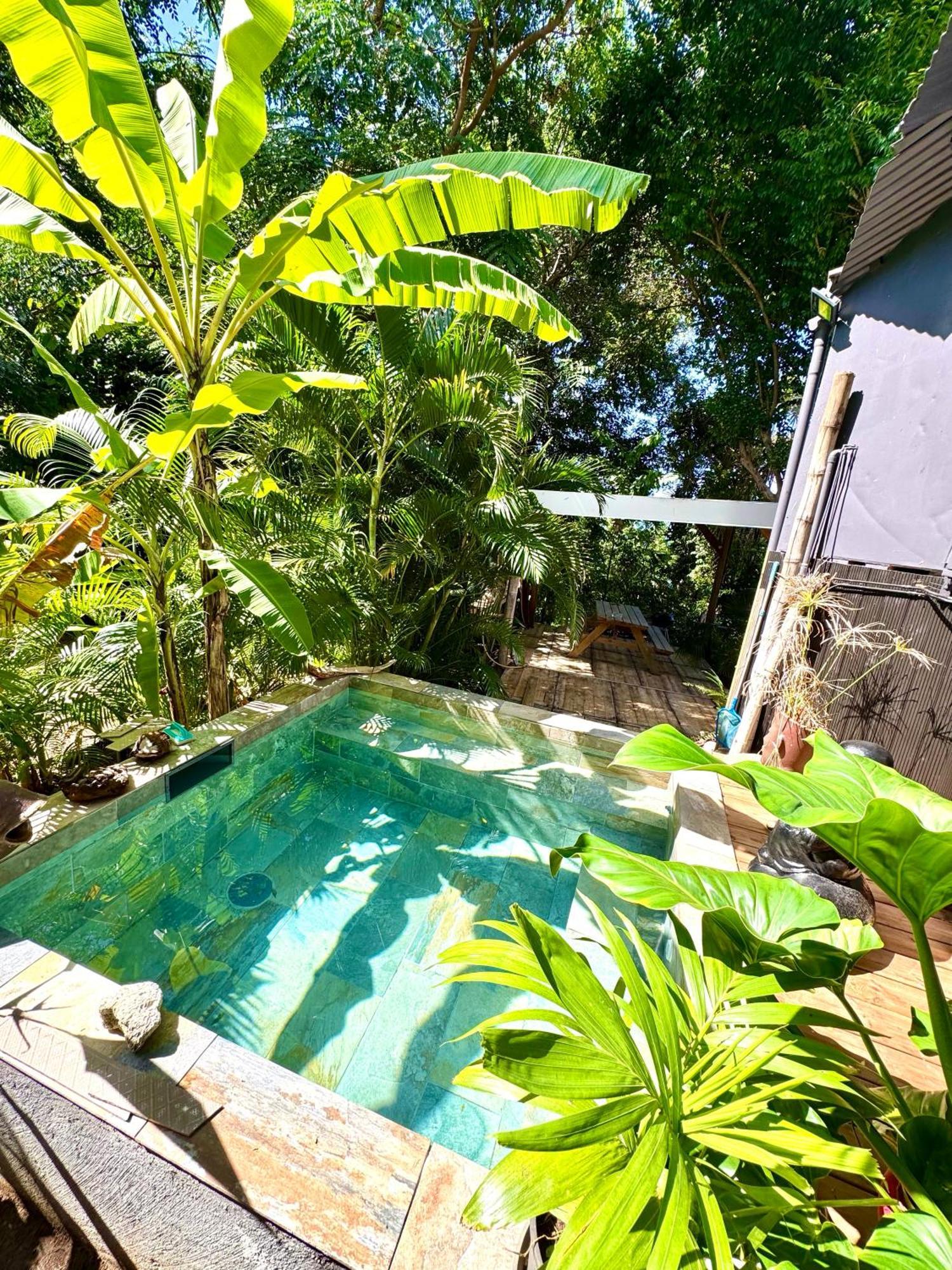 Lodge Colibris Piscine Privee Vue Panoramique Mer Et Montagne Pelee , 500 M Plage Dans Un Parc , Calme Assure Ideal Pour Decouvrir Le Nord Caraibes ル・カルベ エクステリア 写真